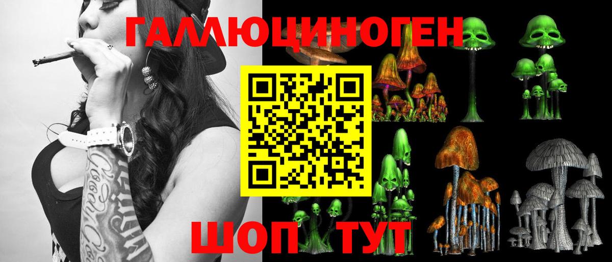 Псилоцибиновые грибы GOLDEN TEACHER  Вход с VPN  Богданович 